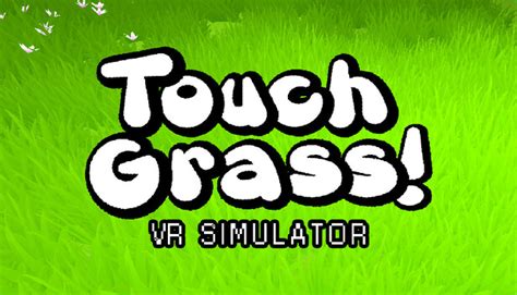 Touch Grass VR Simulator on Meta Quest - muktibox.com