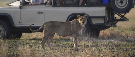 Tourism's Vital Link to Nature - Nature4Climate - balustradellc