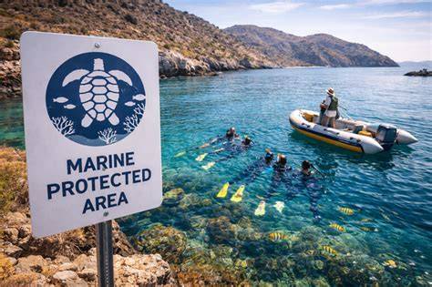 Tourism in marine protected areas: Can it be considered as an ... - raincitystudios.com