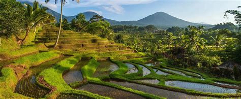 Tourist Attractions in Indonesia for Family Trips - balustradellc