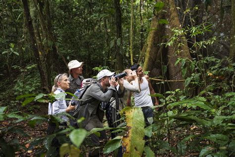 Tourist Nature - Expert Guide to Nature Attractions - balustradellc