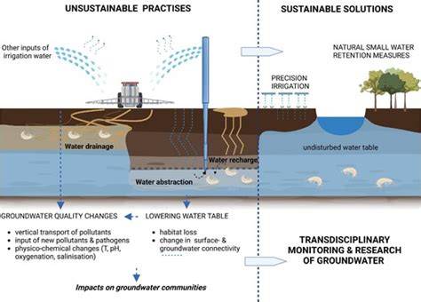 Toward sustainable irrigation practices safeguarding groundwater ... - raincitystudios.com