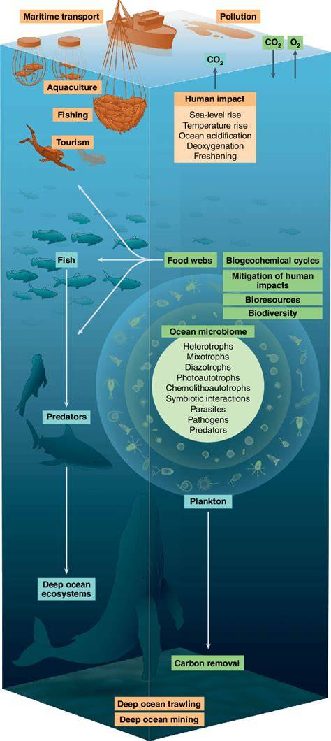 Towards a Global Perspective of the Marine Microbiome - raincitystudios.com