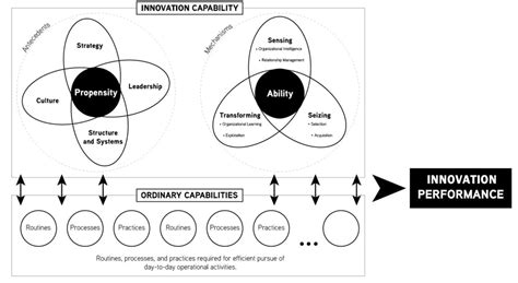Towards an adaptive framework of low-end innovation capability – A ... - balustradellc