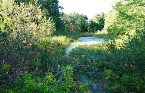 Town stops process of accepting Berkshire Avenue land donation … - balustradellc