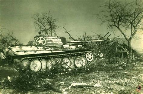 TP.099 - The Cuckoo. A German Panther Tank captured by the