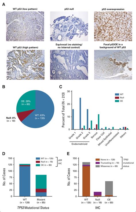 TP53 Sequencing and p53 Immunohistochemistry Predict …