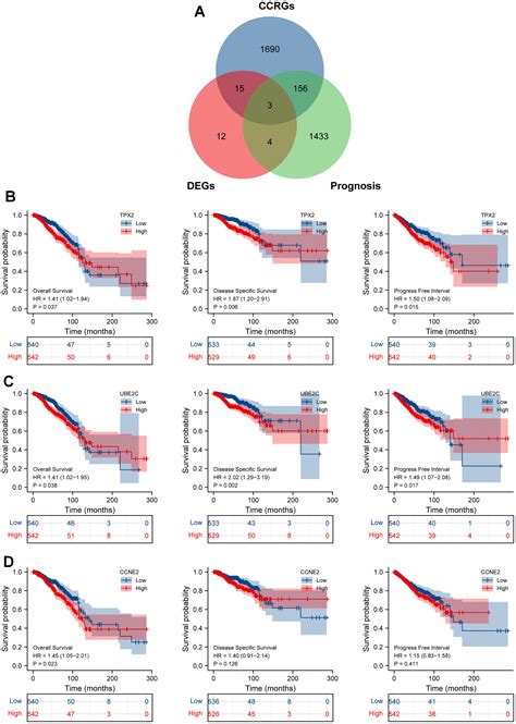 TPX2 as a Novel Prognostic Indicator and Promising