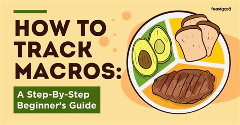 Tracking Macros for Beginners: A Step-by-Step Guide - balustradellc