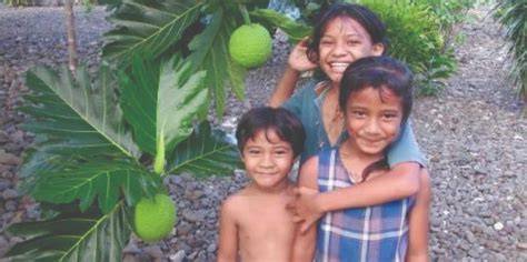 Traditional Breadfruit Agroforestry In The Pacific Islands - raincitystudios.com