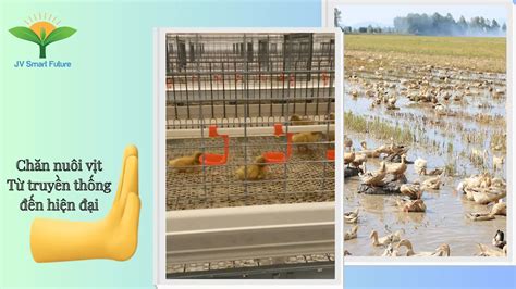 Traditional Duck Farming Business Development in Supporting the ... - raincitystudios.com