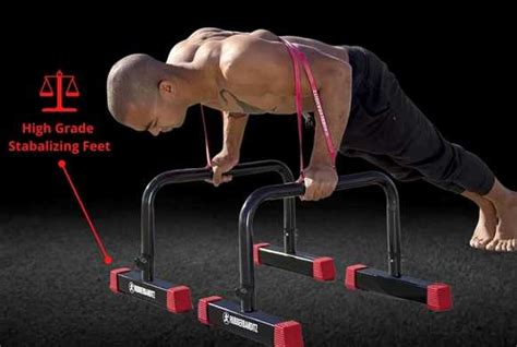 Train Your Chest with Parallettes - Calisthenics Workout Guide - balustradellc