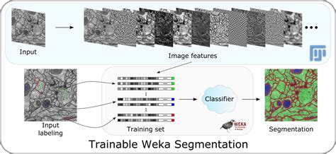 Trainable Weka Segmentation - ImageJ Wiki - coolestguyplanet.net