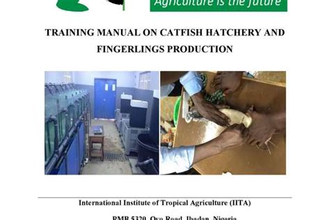 TRAINING MANUAL ON CATFISH HATCHERY AND - gh - muktibox.com