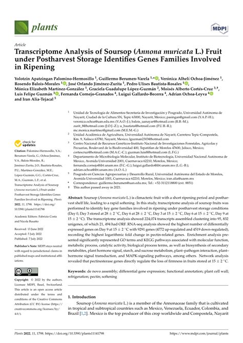 Transcriptome Analysis of Soursop (Annona muricata L.) Fruit under ... - raincitystudios.com