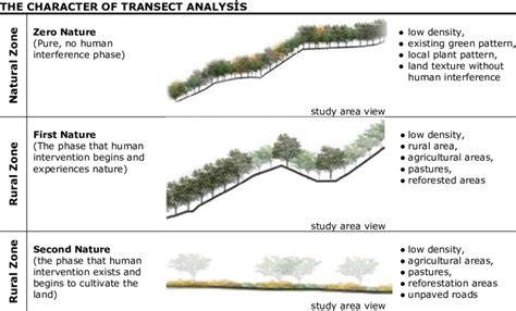 Transect Analysis | PPTX - SlideShare - raincitystudios.com