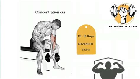 Transform Your Arms: A Step-by-Step Guide on How to Do Concentration ... - balustradellc