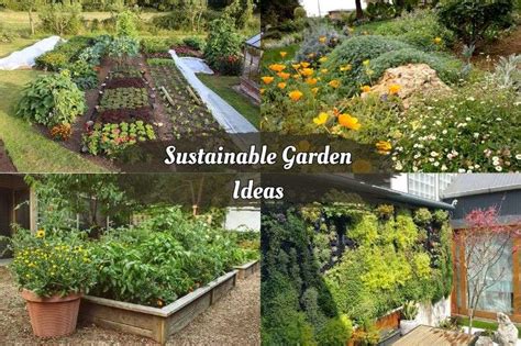 Transform Your Garden: DIY Sustainable Landscaping Ideas - raincitystudios.com
