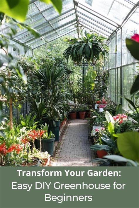 Transform Your Garden: Easy DIY Greenhouse for Beginners - balustradellc