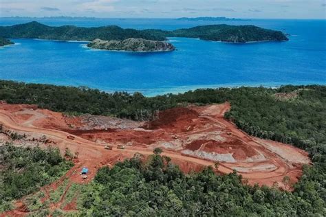 Transformasi Tata Kelola Alam Dinilai Dibutuhkan untuk Atasi Krisis ... - balustradellc