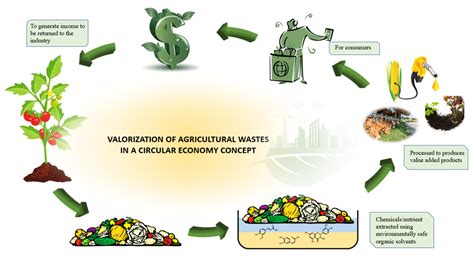 Transforming agricultural residues to value-added products: waste to ... - raincitystudios.com