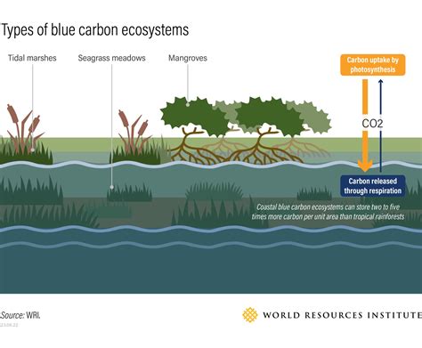 Translation-BlueCarbon-Indonesia-draft4 - Panda - raincitystudios.com