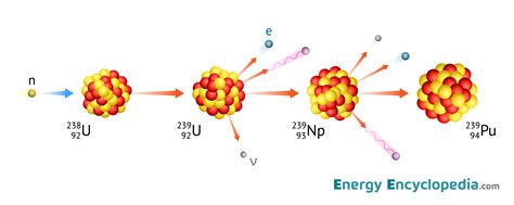 Transmutation | Nuclear Reactions, Radioactivity - balustradellc