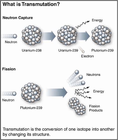 TRANSMUTATION Definition & Meaning - Merriam-Webster - balustradellc