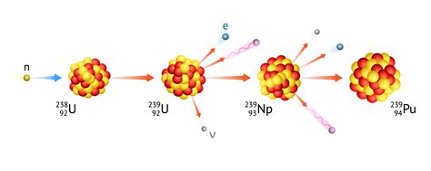 Transmutation Of Elements - balustradellc