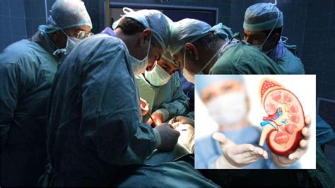 Transplantasi Efektif Tingkatkan Kualitas Hidup Pasien Ginjal - balustradellc