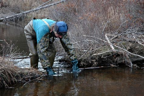 TRAPPING & Taming *WILD PIGS* (How to Trap Wild BOAR) Tame … - balustradellc