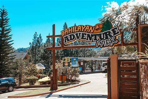 Travel Diaries| Dahilayan Forest and Adventure … - raincitystudios.com