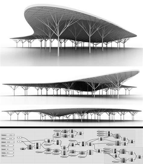 Tree architecture models, canopy maintenance, and … - raincitystudios.com