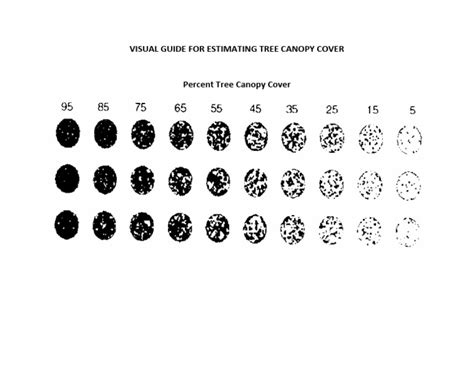 Tree Canopy Cover Datasets - US Forest Service - raincitystudios.com