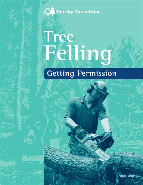 Tree felling: getting permission - GOV.UK - raincitystudios.com