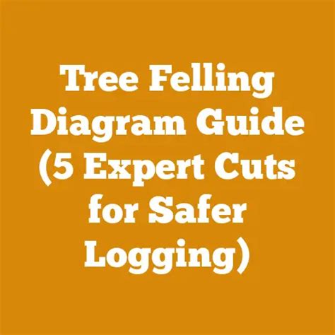 Tree Felling Diagram Guide (5 Expert Cuts For Safer … - raincitystudios.com