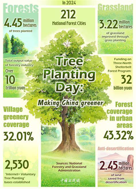 Tree planting – Greener.Land - raincitystudios.com