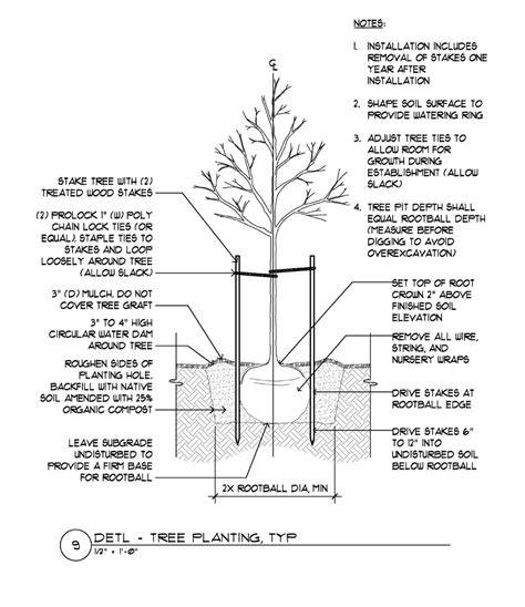 Tree Planting Detail to S278 Areas - within existing tree pits 01 - raincitystudios.com