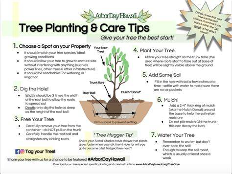 Tree Planting Monitoring and Evaluation Guide - Insight7 - raincitystudios.com