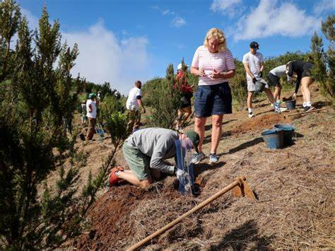 Tree Planting Tradition | Royal Connection at Elsick … - raincitystudios.com