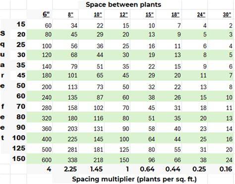 Tree Spacing Calculator – Perfect Plant Spacing Guide - raincitystudios.com