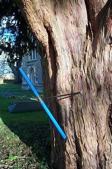 Tree-Ring Services - Services & Costs - muktibox.com