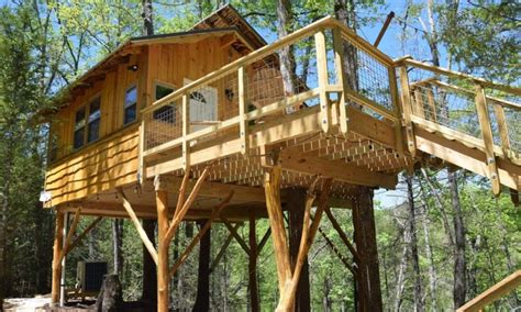 Treehouse Guys Treehouse Builds - balustradellc