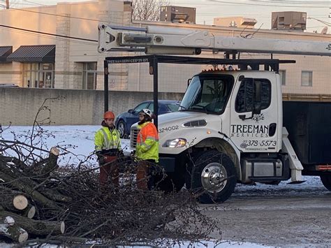 TREEMAN TREE SERVICE - Flushing, MI - Yelp