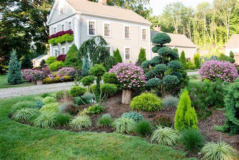 Trees and shrubs - State Flora - raincitystudios.com
