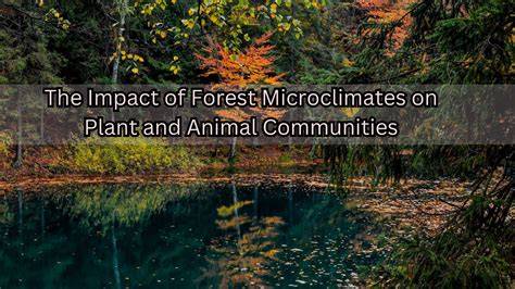 Trees and Their Impact on Microclimates - Simpsons … - raincitystudios.com