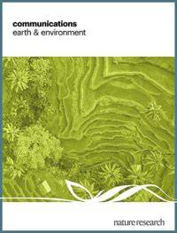 Trees on smallholder farms and forest restoration are critical for ... - raincitystudios.com