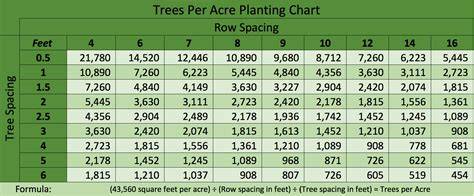 Trees Per Acre Calculator - Area Calculators - raincitystudios.com