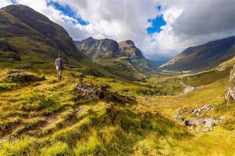 Trees You Can See in Scotland | VisitScotland - raincitystudios.com
