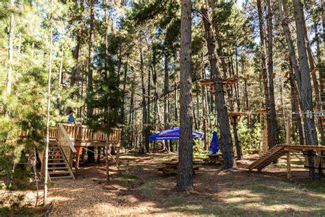 Treetops Adventure Canberra | VisitCanberra - raincitystudios.com